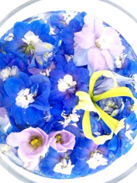 涼を求めて｜「サクラヤ花店」　（愛知県名古屋市西区の花キューピット加盟店 花屋）のブログ