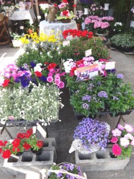 ♪カラフルガーデン♪｜「サクラヤ花店」　（愛知県名古屋市西区の花キューピット加盟店 花屋）のブログ