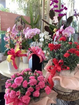 色鮮やか♪母の日のお花たち|「サクラヤ花店」　（愛知県名古屋市西区の花屋）のブログ