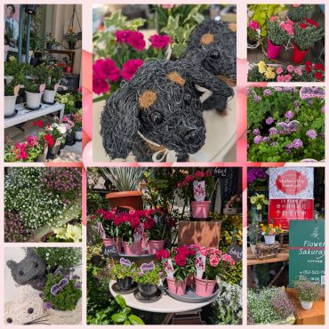 ♡母の日のプレゼント｜「サクラヤ花店」　（愛知県名古屋市西区の花キューピット加盟店 花屋）のブログ